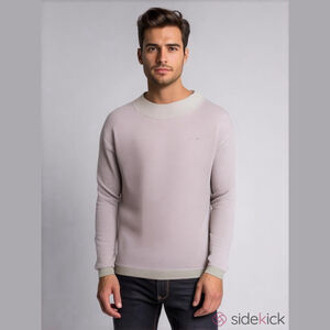 Jean Pierre Big & Tall Gray Purple Striped Mock Sweatshirt XXL